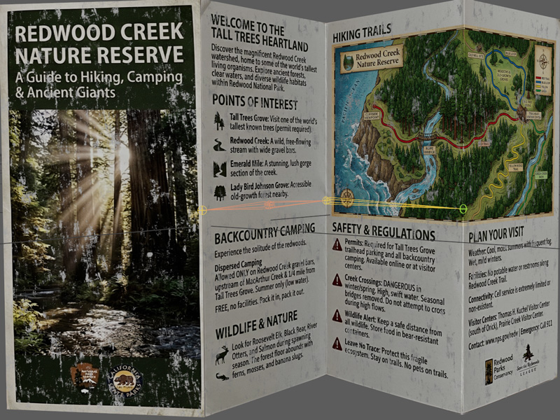 Rigged Redwood Brochure Prop